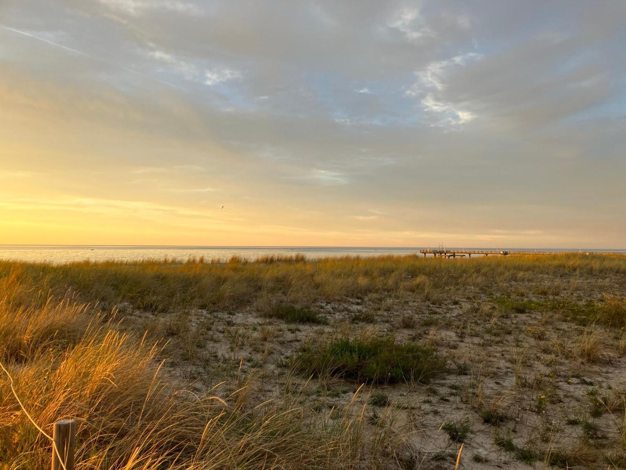 Strandgruen Рерик Екстериор снимка